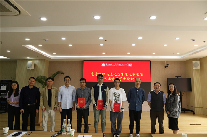 电子游戏app下载安装