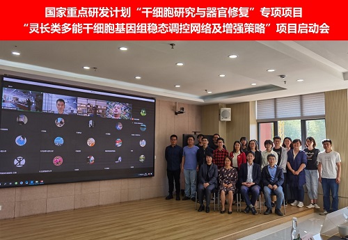 电子游戏app下载安装