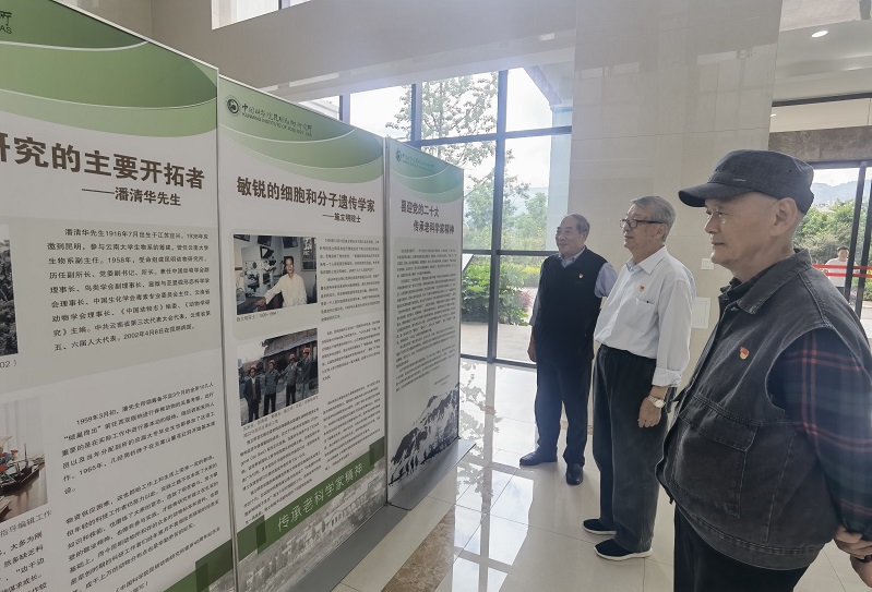 电子游戏app下载安装