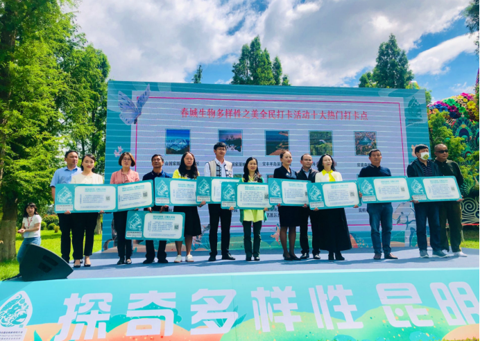 电子游戏app下载安装