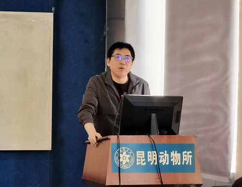 电子游戏app下载安装