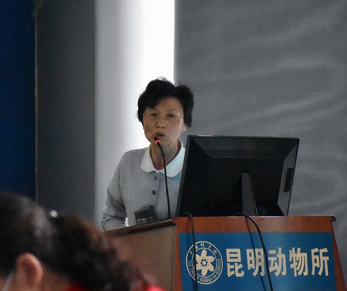 电子游戏app下载安装