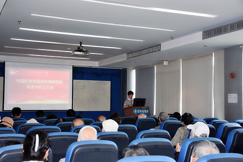 电子游戏app下载安装