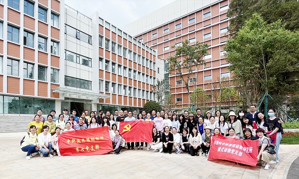 电子游戏app下载安装