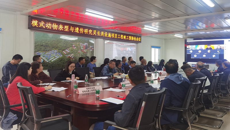 电子游戏app下载安装