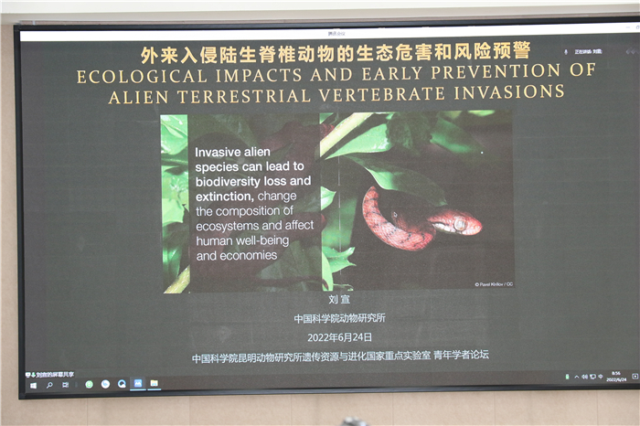 电子游戏app下载安装