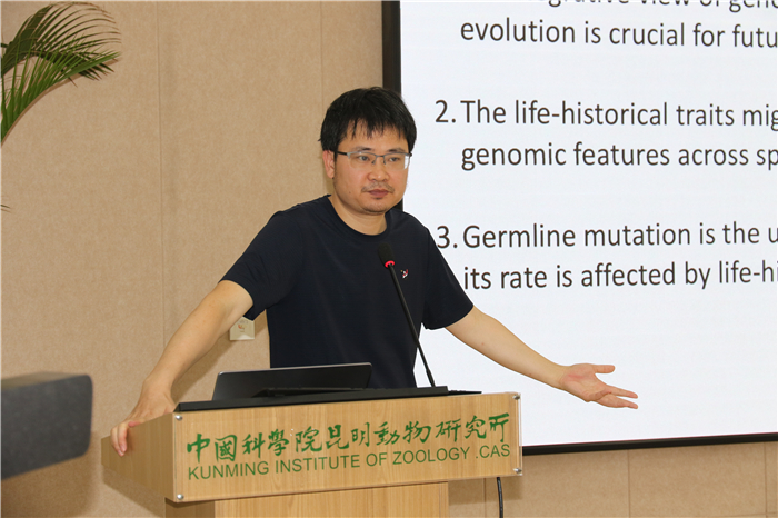 电子游戏app下载安装