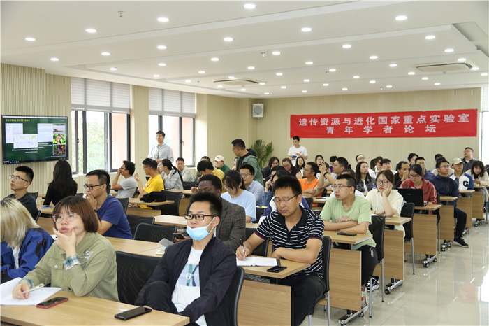 电子游戏app下载安装