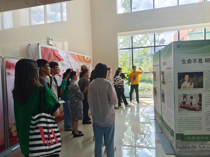 电子游戏app下载安装