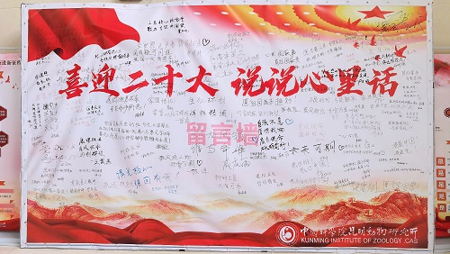 电子游戏app下载安装