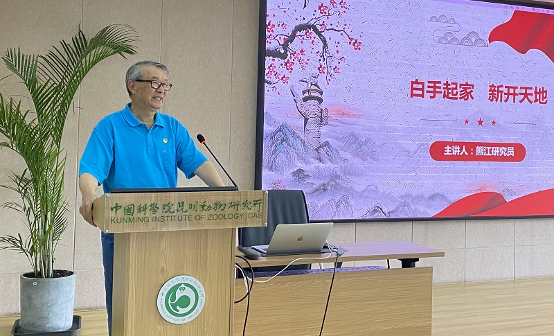 电子游戏app下载安装