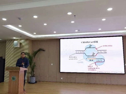 电子游戏app下载安装