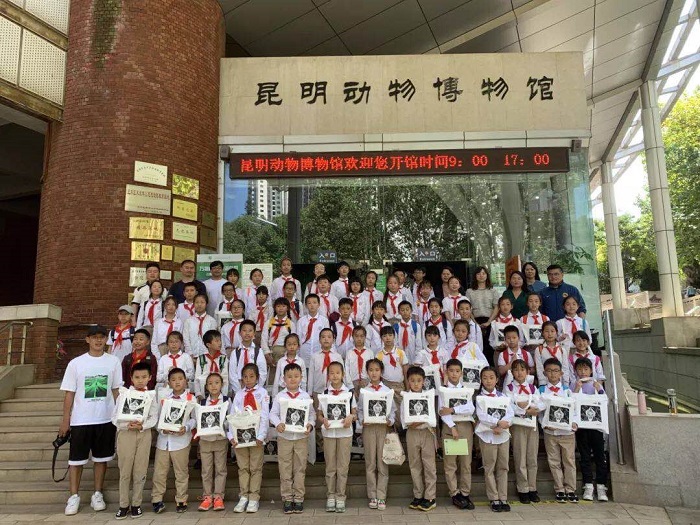 电子游戏app下载安装