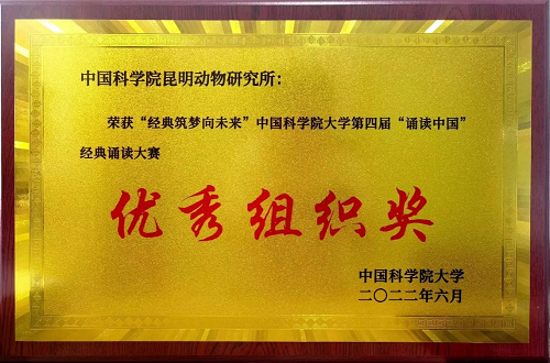 电子游戏app下载安装