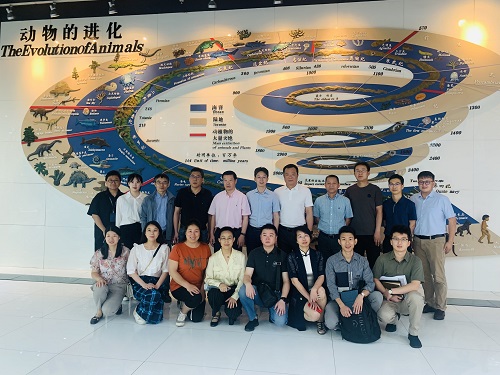 电子游戏app下载安装