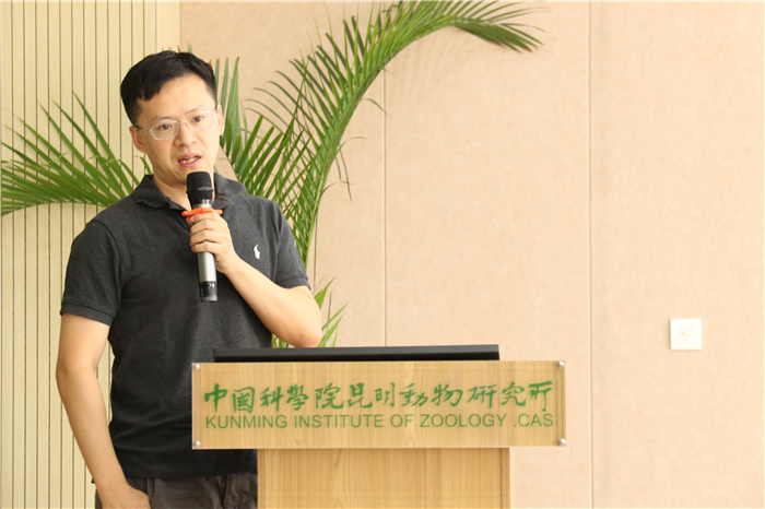 电子游戏app下载安装