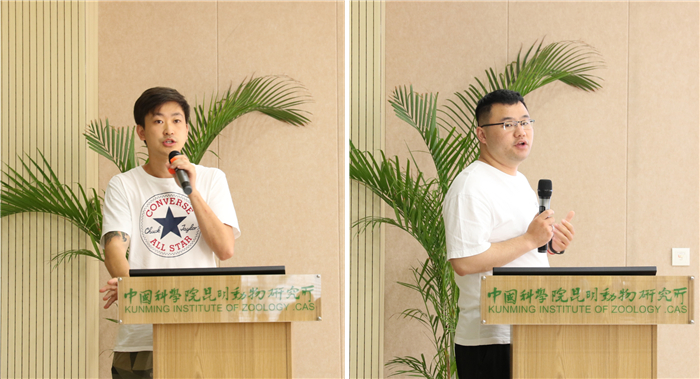 电子游戏app下载安装