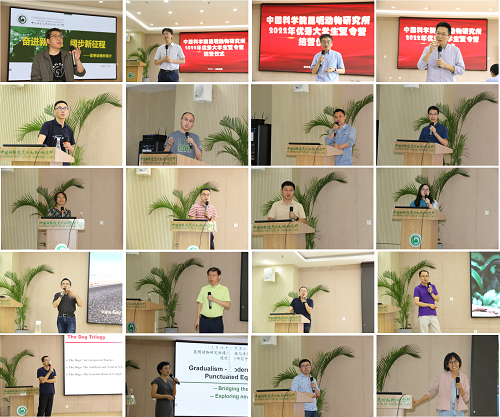 电子游戏app下载安装