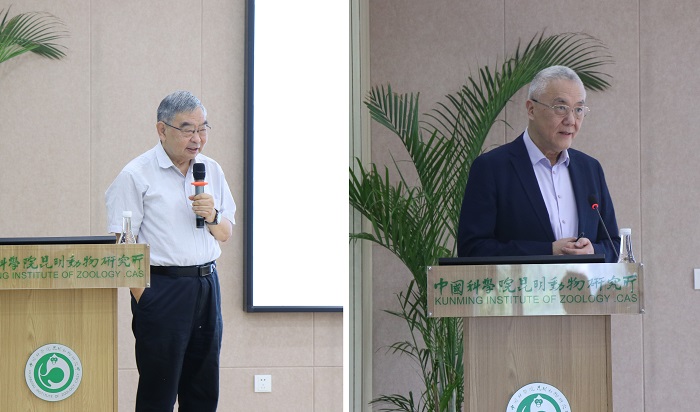 电子游戏app下载安装