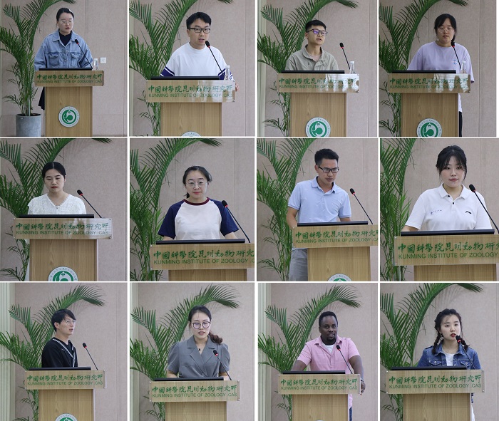 电子游戏app下载安装