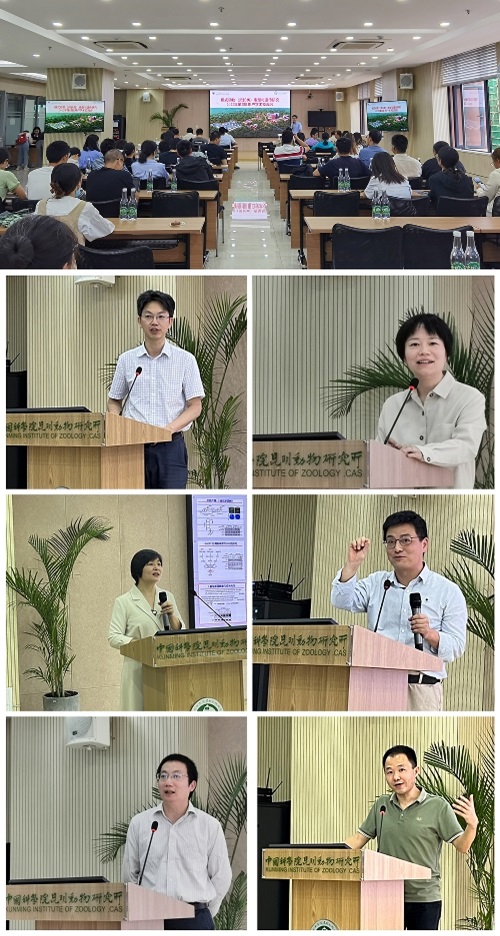 电子游戏app下载安装