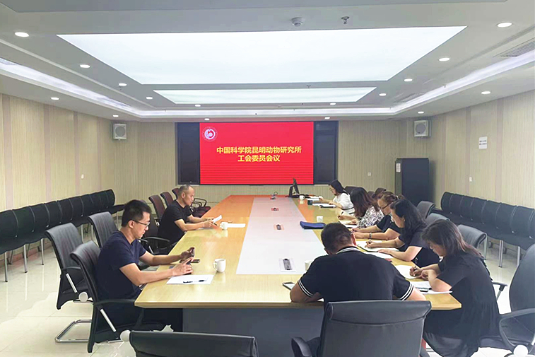 电子游戏app下载安装