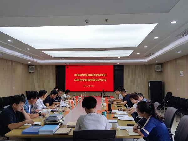 电子游戏app下载安装