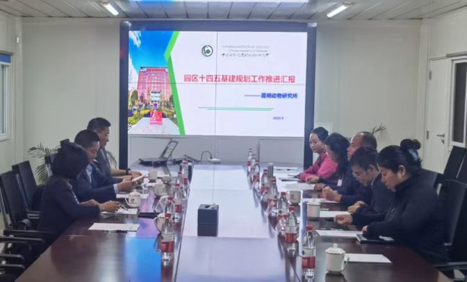 电子游戏app下载安装