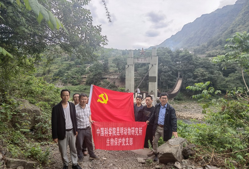 电子游戏app下载安装