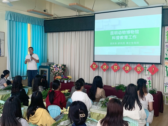 电子游戏app下载安装