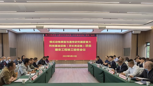 电子游戏app下载安装