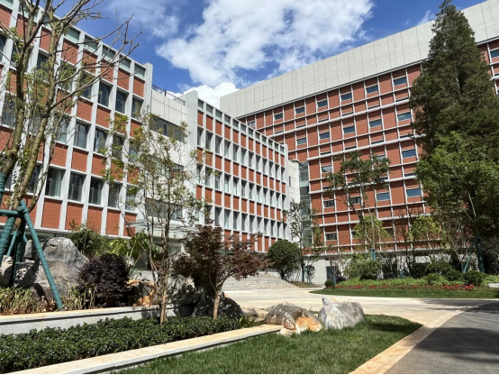 电子游戏app下载安装