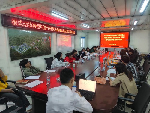 电子游戏app下载安装