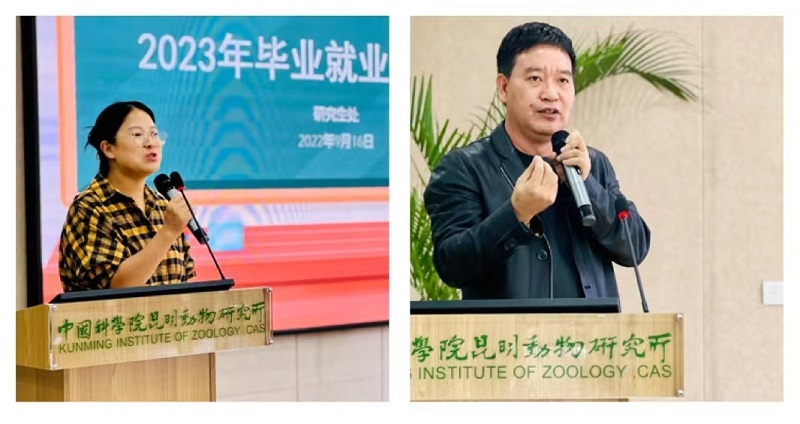 电子游戏app下载安装