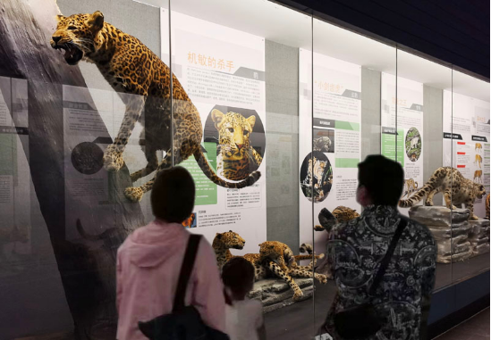 电子游戏app下载安装