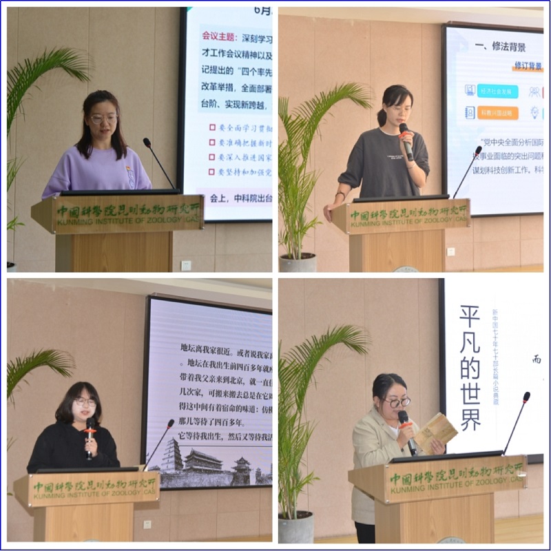 电子游戏app下载安装