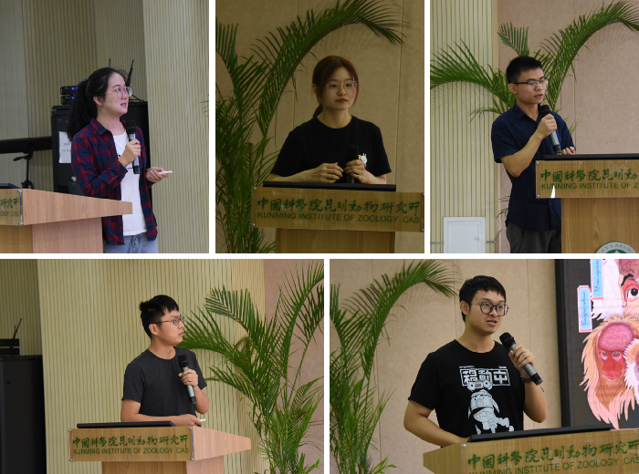 电子游戏app下载安装