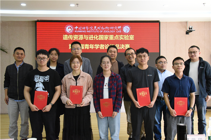 电子游戏app下载安装