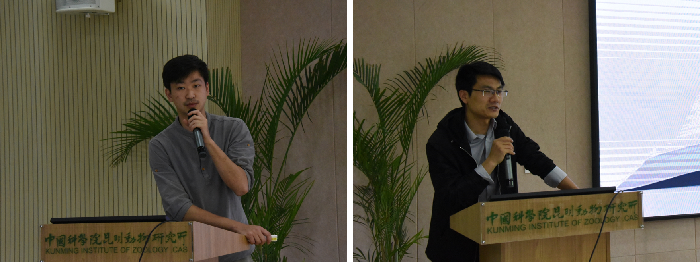 电子游戏app下载安装