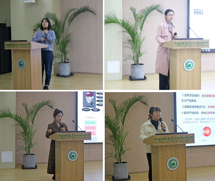 电子游戏app下载安装