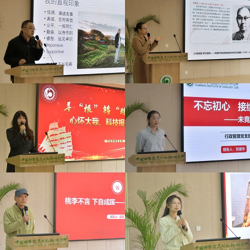 电子游戏app下载安装