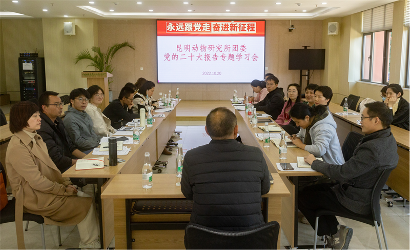 电子游戏app下载安装