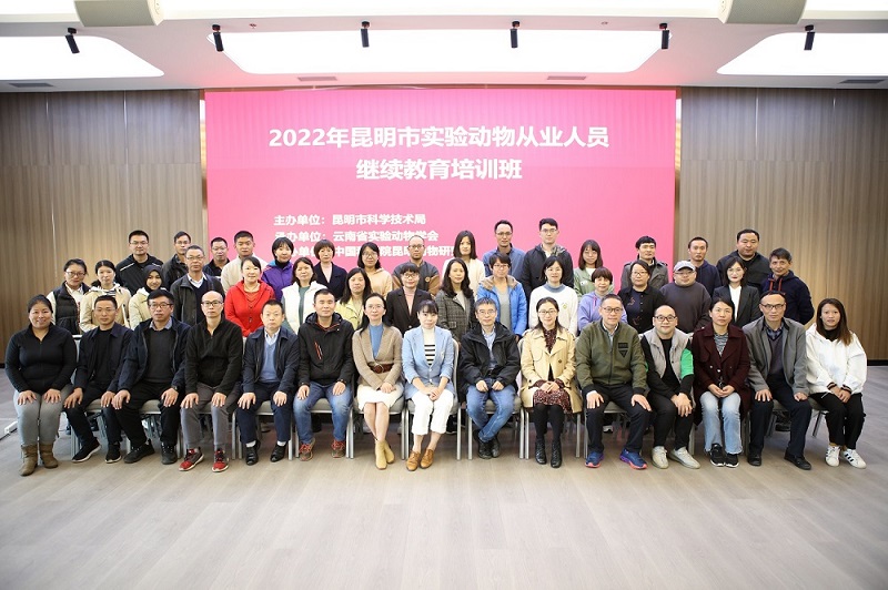 电子游戏app下载安装