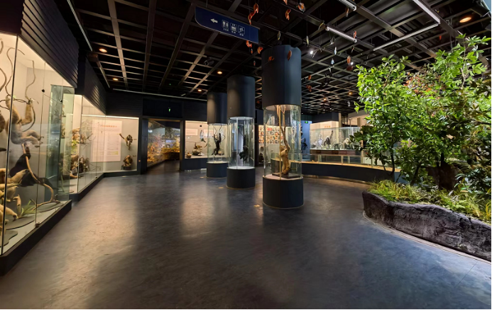 电子游戏app下载安装