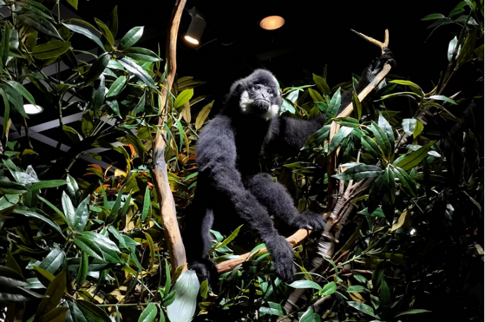 电子游戏app下载安装