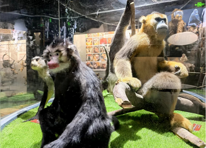 电子游戏app下载安装