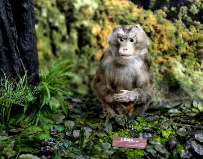 电子游戏app下载安装