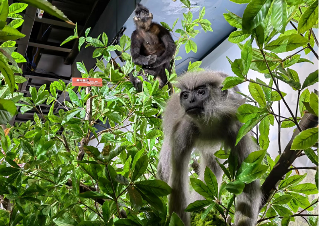 电子游戏app下载安装