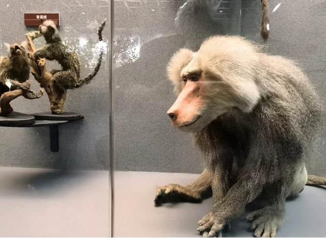 电子游戏app下载安装