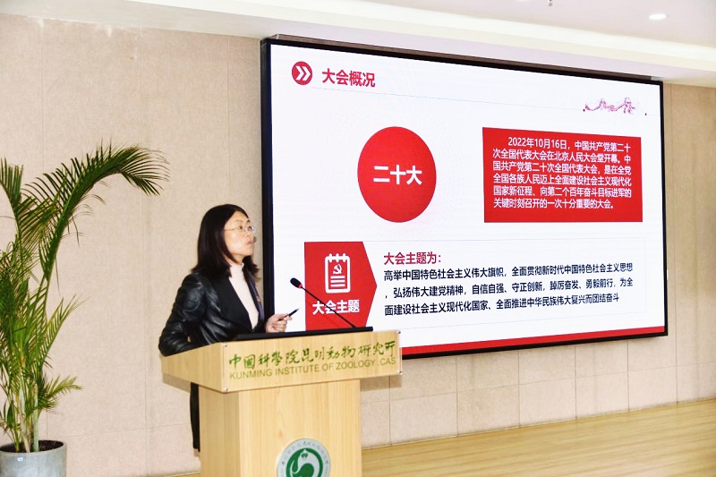 电子游戏app下载安装